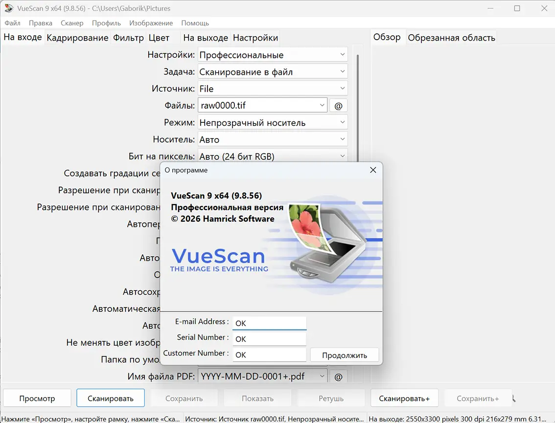 VueScan Professional — сканирование документов, фото и плёнки
